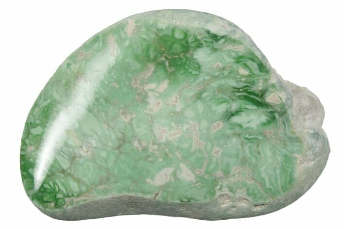 Polished Pastel Green Lucin Variscite ( g) - Utah #354644